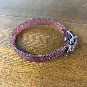 NWOT leather dog collar size small